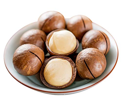 OUZ123 Instant Food Whole Macadamia Nuts Creamy Taste Xia Wei Yi Guo 夏威夷果 250g/8.8oz