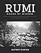 Rumi Words of Wisdom: 101 Quotations Curated and Compiled To Instantly Expand Your Mind And Exhilara by FastRead Books, Maitreyi Gautam