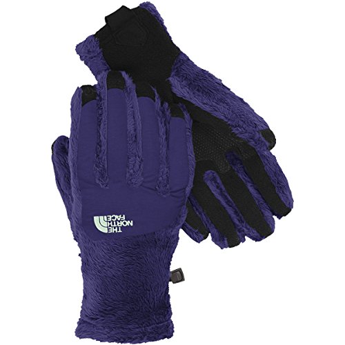 The North Face Denali Thermal Etip Glove Womens Garnet Purple/Surf Green L