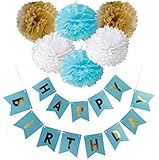 Fascola Happy Birthday Decorations Banner with 6 ps