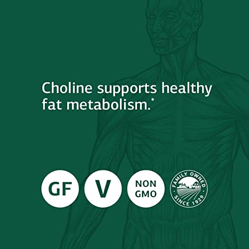 Standard Process Choline Liver Support, Gallbladder Support, and