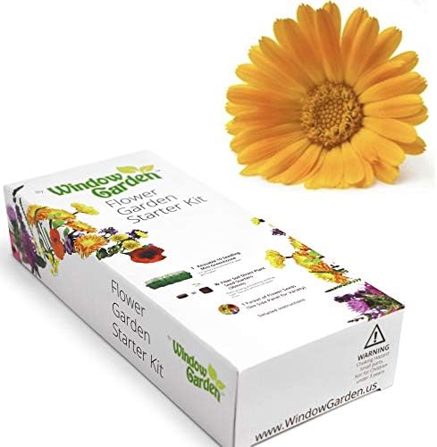 Window Garden - Calendula Flower Starter Kit - Grow Your Own Beauty. Germinate Seeds on Your Windowsill Then Move to Planter or Landscape. Mini Greenhouse System Make’s it Foolproof, Easy and Fun.