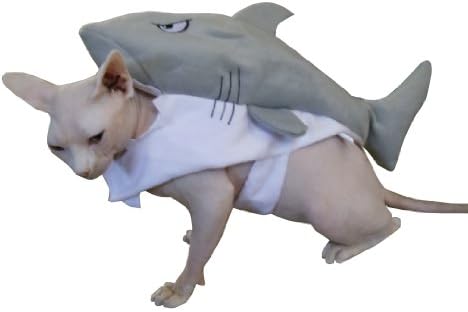 Shark Pet Costume ~ Size Small