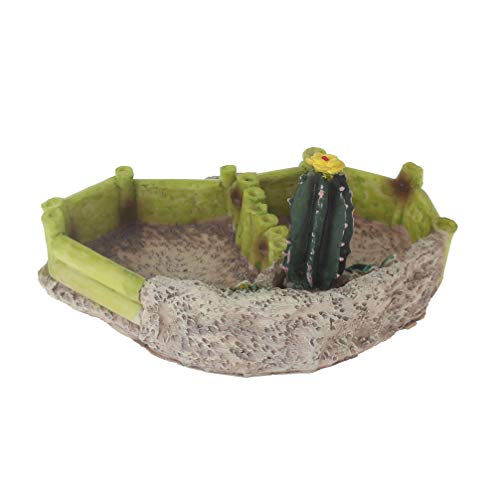 Emours Reptile Amphibian Tortoise Lizard Frog Water Dish Food Feeder Cactus Corner Bowl with Ramp Large