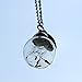 Ingooood Glass bottle necklace Natural dandelion seed in glass necklace Make A Wish silver plated jewelry