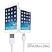 Lightning Cable [Apple MFi Certified], 3.3 Feet, 8 Pin to USB Sync Cable Charging Cord for iPhone X Xs Xr Xs Max 8 8 Plus 7 7 Plus 6s 6s Plus 6 6+ iPad Pro iPad Air iPad Mini iPod Touch
