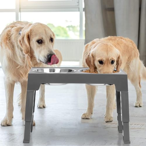 3PCS Comedero para Perro（Stainless steel bowl*2+Plato para Alimentación Lenta*1）, Cuenco Elevado para Perros,Soporte Elevado para Cuencospara Perros y Mascotas pequeños, medianos y Grandes(Negro)