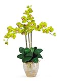 1017-GR Triple Phalaenopsis seda flor de la orquídea Arreglo, Verde