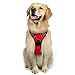 rabbitgoo Dog Harness, No-Pull Pet Harness with 2 Leash Clips, Adjustable Soft Padded Dog Vest, Reflective No-Choke Pet Oxford Vest with Easy Control Handle for Large Dogs, Red, L