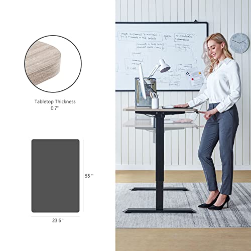 LINSY HOME Standing Desk, 55 Inch Electric Adjustable Height Desk for