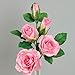 Flower Pro Five Petal Rose Cutters (Set of 3) for Cake Decorating - by Katy Sue Green