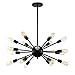 Light Society Sputnik 18-Light Chandelier Pendant, Matte Black, Mid Century Modern Industrial Starburst-Style Lighting Fixture (LS-C115-BLK)