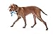 WEST PAW Zogoflex Tizzi Treat Dispensing Dog Toy – Interactive Play Toy for Dogs, Puppies – Floatable, High-Flying Dog Toys for Fetch, Catch, Tug of War, Recyclable, Dishwasher Safe, Large Aqua Blue