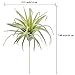 Supla 2 Pcs Artificial Succulent Plants Air Plants Dessert Plants Tillandsia in Light Green with Gray Tones 5.5