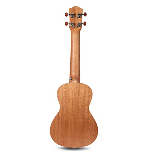 1 Donner+Ukulele+Mahogany+DUT+1+String