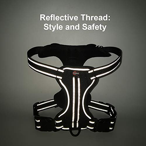 Dog Harness No Pull Dog Vest with Leash Adjustable & Reflective Pet Vest Harnesses and Leash Easy Control for Small Medium Large Dogs (Medium, Black)