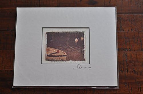 St. Katherine's Swans Hand-printed Transfer Art