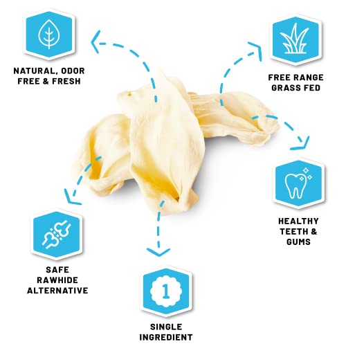 Sitka Farms COW EARS for Dogs XXL Giant JUMBO Double Cut with Ring