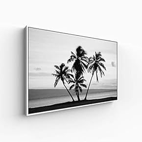 Canvas Wall Art for Living Room, Bedroom Monochrome Plants Framed Canvas Prints for Home Decoration Ready to Hang - 16x24 inches