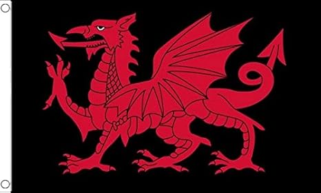 Welsh Dragon Black Flag 2 X 3 Wales Flags 60 X 90 Cm Banner 2x3 Ft Drapeau Pays De Galles Dragon Noir Az Flag Amazon Ca Patio Lawn Garden