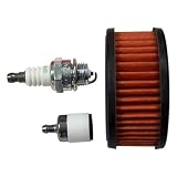Echo 90155Y RePower Tune Up Kit