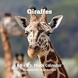 Giraffe 8.5 X 8.5 Calendar September 2019 -December 2020: Monthly Calendar with U.S./UK/ Canadian/Ch by 