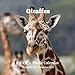 Giraffe 8.5 X 8.5 Calendar September 2019 -December 2020: Monthly Calendar with U.S./UK/ Canadian/Ch by 