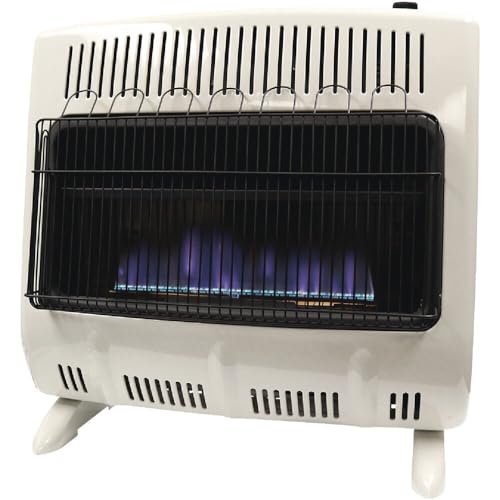 Mr. Heater Dual Fuel Blue Flame Heater