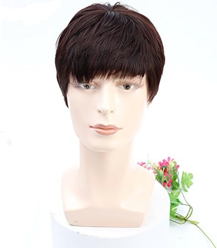 Allaosif Hair Short Straight Black Wigs for Man (Dark Brown)
