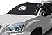 NFL Frost Guard Windshield Cover for Ice and Snow, Green Bay Packers | Standard Size Car Windshield Frost Cover with Side Mirror Covers | Fits Most Cars, Sedans, Small Trucks, SUVs – 60 x 40 Inches