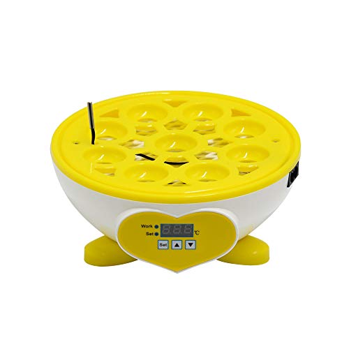ConPush 9 Eier Mini Eierbrutkasten Brutmaschine Vollautomatisch Hühner Eier Brutgerät Brutapparat Eier Inkubator für… – Bild 7