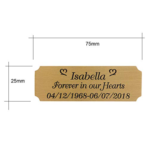 3" W x 1" H, Personalized Custom Engraved Brushed Gold Solid Brass Plate Picture Frame Name Label Art Tag for Frames, with Adhesive Backing or Screws