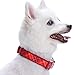 Blueberry Pet 7 Patterns Soft & Comfy Scottish Aileen Red Plaid Tartan Style Designer Padded Adjustable Dog Collar, Large, Neck 18