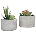 MyGift Set of 2 Wall-Mounted Miniature Gray Clay Plantersthumb 4