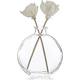 Clear 150ml/5oz Empty Glass Diffuser Bottle - Aromatherapy Storage Container for DIY Replacement Diffuser Sticks Sets, Crafts & Decor