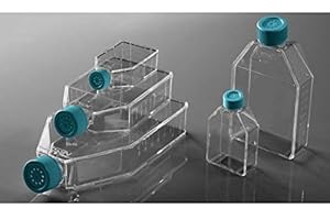 AZZOTA Sterilized Cell Culture Flasks - 50ml, 25cm2, TC, Vented Caps, 10/pk