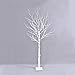 Ecolinear Prelit Birch Tree 96 LEDs Light Silver Twig Warm White White Branches (6 Feet) Home Festival Party Christmas Indoor and Outdoor Use
