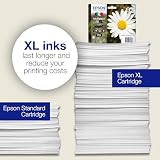 Epson 18 Daisy Ink Cartridge Multipack 4 Colour Claria Home Eco-Friendly view 4