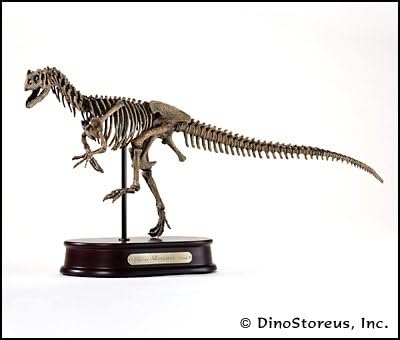 Dinosaur Allosaurus (Skeleton)