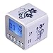 Haoponer Portable Mini Digital Display Screen Speaker USB Flash Drive Micro SD/TF Card Music MP3 Player FM Radio Blue and White Porcelain Plastic White/Blue-1