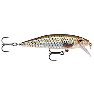 Rapala – X-rap Countdown Un Leurre Coulant Pour L’eau Douce – Truite, Saumon, Perche, Sandre, Brochet – 5 Cm 4 G Coloris Ayu