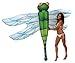 Coconut Float Gigantic Dragonfly Inflatable Raft & Pool Float, 105