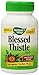 Blessed Thistle Herb 100 Capsules (100)