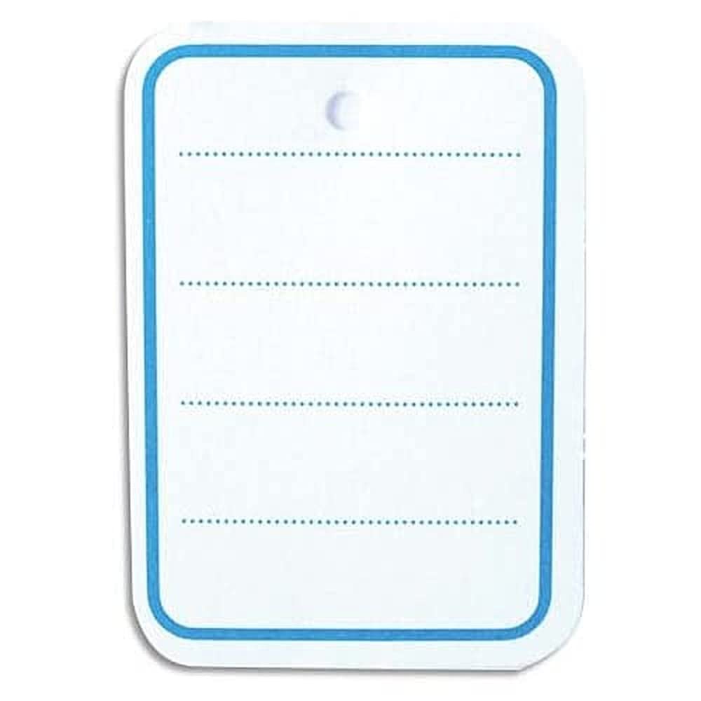 Agipa 161021 Pack of 1.000 Lined Labels 31 x 46 mm Blue