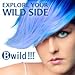 Jerome Russell B Wild (Bengal Blue) Temporary Hair Color Spray 3.5oz