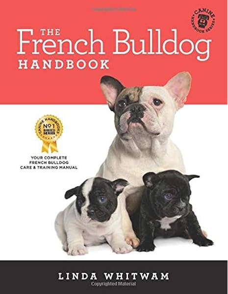 french bulldog puppy essentials