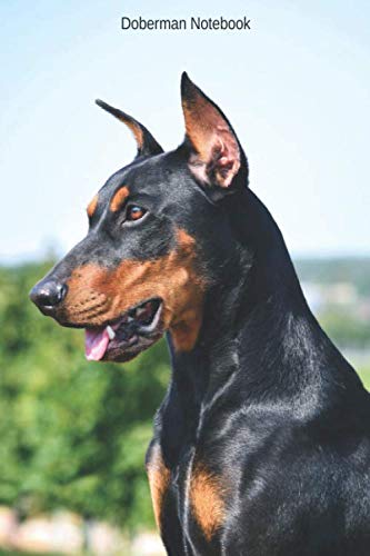 Doberman Notebook: Small lined Doberman notebook - Travel Journal to write in - 120 pages - 6"x9"