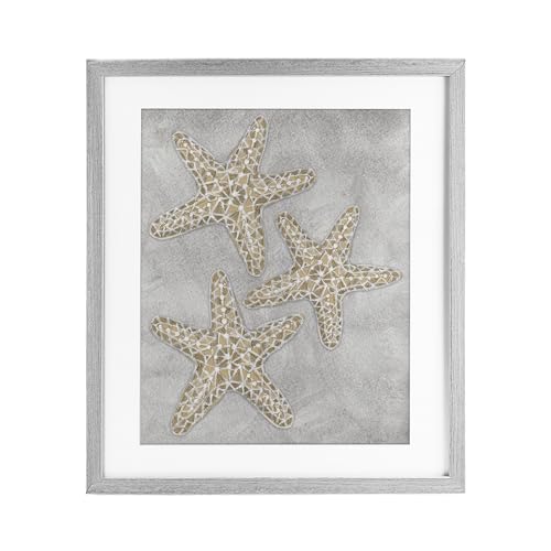 Grey Starfish Nautical Coastal, 13 x 16 Inch Framed Print Under Glass