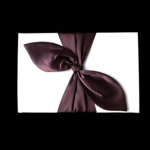 New Ivory WeddingBridal Reception Guest Book with a Gorgerous Brown SatinBow