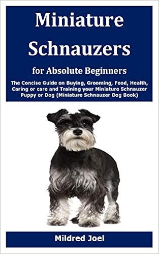 buying a miniature schnauzer